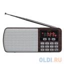 Perfeo радиоприемник цифровой ЕГЕРЬ FM+ 70-108МГц/ MP3/ питание USB или BL5C/ коричневый (i120-BK)