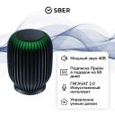 Умная колонка Sber SberBoom с GigaChat 2.0, 40 Вт, черный