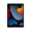 Apple iPad 10.2 (2021) 64Gb Wi-Fi Space Gray (Серый космос) (Global)