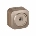 Электроустановочные изделия серии GLORY — это сочетание стиля, эргономичности и функциональности. Благодаря лаконичному дизайну изделия гармонично смотрятся в интерьерах загородного дома и коммерческих пространств в стиле лофт или минимализм. Широкая палитра оттенков позволяет подобрать решение, которое подчеркнет индивидуальность вашего интерьера.