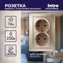 1-205-04 Розетка Intro Plano 1-205-04 с заземлением двойная 2X2P+E Schuko, 16А-250В, IP20, СУ, шампань, цена за 1 шт
