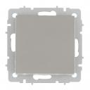 Выключатель IEK Brite ВС10-1-3-БрС одноклавишный встраиваемый сталь перекрестный (BR-V13-0-10-K46)