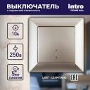 4-102-04 Выключатель Intro Solo 4-102-04 одноклавишный с подсветкой, 10А-250В, IP20, СУ, шампань, цена за 1 шт