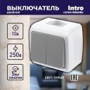 5-104-03 Выключатель Intro Atlantic 5-104-03 двойной, 10А-250В, IP54, открытой установки, серый, цена за 1 шт