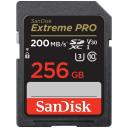 Карта памяти SanDisk SDXC 256 ГБ Class 10, V30, A2, UHS-I U3, RU, 1 шт., черный