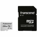 Transcend 256GB