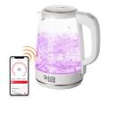 Чайник электрический REDMOND Чайник SkyKettle RK-G203S