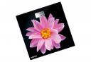 Весы напольные Centek CT-2416 Pink Flower