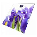 Напольные весы SUPRA Весы напольные электронные стеклянные BSS-2013