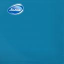 Салфетки бумажные Лилия 33х33см Голубой 2сл 20шт