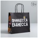 Пакет подарочный с приколом «Принцесса», 22 х 22 х 11 см
