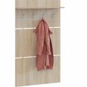 Прихожая СОКОЛ ВШ-3.1 ШОВШ3.1Дс