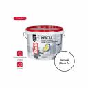 Акриловая краска для стен и потолков DALI Professional 3 19999