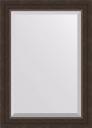 Зеркало Evoform Exclusive BY 1124 51x71 палисандр