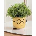 Кашпо IDEA СТИВ D115 мм 0,65л со вставкой, банановый М 3079