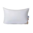 ARYA HOME COLLECTION Подушка из Гусиного Пуха 50x70 Deluxe Line Glory Белый