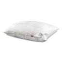 Подушка Cassia Ирем 50х70 см