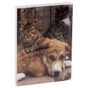 Фотоальбом ArtSpace "Friends" 36 фото 10*15см мягкая обложка ПП карман PA_22334