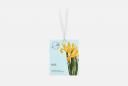 Аромаcаше IRIS 10 г AROMA HARMONY