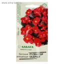 Семена цветов Бегония "Сенатор Скарлет", ц/п, F1, вечноцветущая, серия Элитная клумба 4 шт