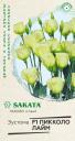 Семена Эустома Пикколо Лайм крупноцвет. гранул. (Саката) F1 Гав оптом