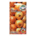 Семена Лук репчатый «Скороспелка», 0.3 г