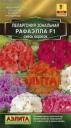 Семена Пеларгония Рафаэлла F1 смесь окрасок Аэл оптом