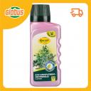 Удобрение Фаско для декоративно-лиственных растений