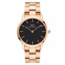 Женские часы DANIEL WELLINGTON Iconic Link DW00100210