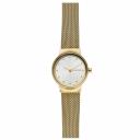 Женские часы SKAGEN Mesh SKW2717