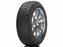 Tigar Winter 205/55 R16 94H