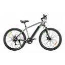 Электровелосипед XT 600 Pro Gray/Green (024312-2664)