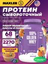 Комплексный протеин MAXLER (USA) 100% Golden Whey 2270 г, Черничный Маффин