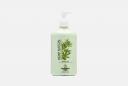 Лосьон для ежедневного ухода за кожей Hemp Nation Agave & Lime 535 мл AUSTRALIAN GOLD