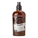BEARDBURYS Увлажняющий спрей для лица Hydra Refresh Facial Mist 120