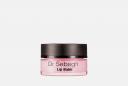 Бальзам для губ Lip Balm 15 мл DR SEBAGH