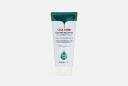 Восстанавливающая очищающая пенка Cica Farm Nature Solution Cleansing Foam 180 мл FARM STAY