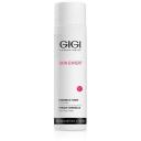 Gigi Тонер Skin Expert Hamamelis 250 мл 250 г 1 шт. флакон