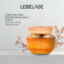 Крем для лица LEBELAGE Крем от пигментных пятен REAL SENSATION BLEMISH CREAM 50