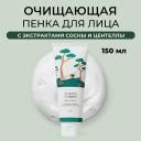 Пенка для снятия макияжа ROUND LAB Пенка для умывания с сосной и центеллой Pine Calming Cica Cleanser 150