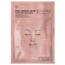 Маска для лица STEBLANC Тканевая маска с гиалуроновой кислотой - глубокое увлажнение, устранение шелушения кожи 25