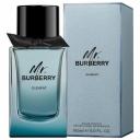 Burberry Mr. Element туалетная вода 100мл тестер