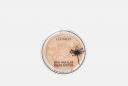 Пудра-хайлайтер для лица More than glow highlighter 5.9 г CATRICE