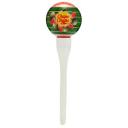 Chupa Chups тинт для губ Lip Locker, 05 Watermelon