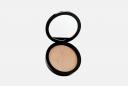 Пудра для лица Profashion Advanced 11 г PASTEL COSMETICS