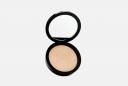 Пудра для лица Profashion Advanced 11 г PASTEL COSMETICS