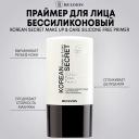 RELOUIS Праймер для лица KOREAN SECRET бессиликоновый make up & care Silicone Free Primer 20
