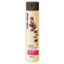 Bielita шампунь с касторовым маслом против выпадения волос, 400 мл 400 мл 1 шт. 400 г