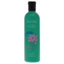 Шампунь для волос BIGAKU Японский шампунь Oily Scalp Refresh&VolumeUp для объема и ухода за жирной кожей 330