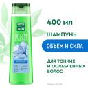 Чистая Линия шампунь объем и сила для тонких и ослабленных волос с экстрактами льна и пшеницы, 400 мл